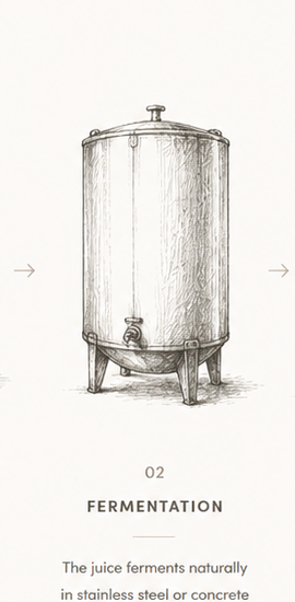 Illustration of a fermentation tank for the second step of pisco production