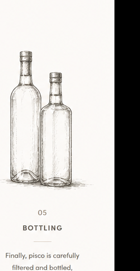 Illustration of pisco bottles for the final step of pisco production